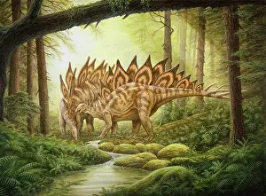 Sunrays: A pair of Stegosaurus dinosaurs in a prehistoric forest