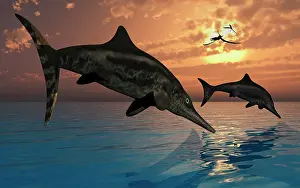 Ichthyosaur: A pair of Stenopterygius ichthyosaurs jumping out of the ?