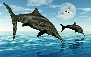 Ichthyosaur: A pair of Stenopterygius ichthyosaurs jumping out of the ?