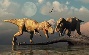 Tyrannosaurus: A pair of T-rex dinosaurs about to eat a dead