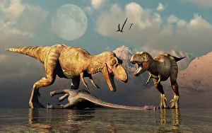 Tyrannosaurus: A pair of T-rex dinosaurs about to eat a dead