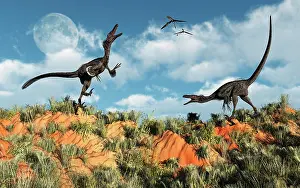 Howling: A pair of velociraptors involved in a territorial dispute