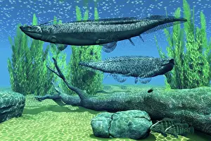 Slender: A pair of Xenacanthus sharks in Devonian seas