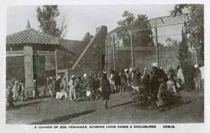 Enclosures: Pakistan - Peshawar Zoo