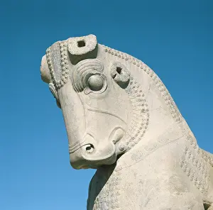 Iranians: Palace of Darius I. Apadana or Audience Hall. 6th
