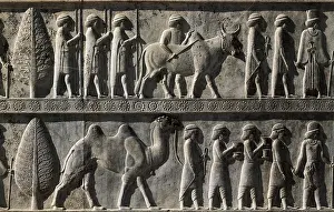 Achaemenid: Palace of Darius, Persepolis