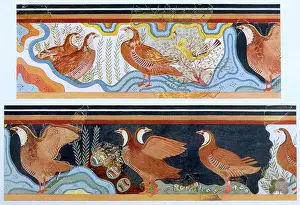 Minos: PALACE MINOS PARTRIDGE