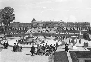 Topiary: Palace of Versailles, France