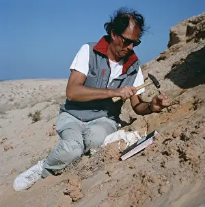 Palaeontologist at work