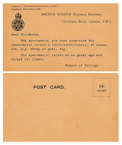 Enquiry: Palaeontology Response Card