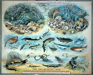 Palaeozoic: The Palaeozoic Age