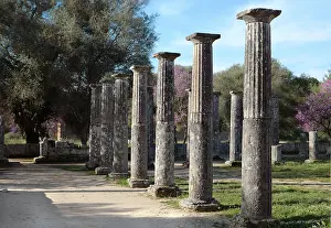 Palaestra: Palaestra, Olympia, Greece