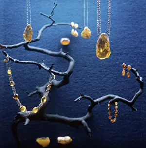 Amber: Palanga Amber Museum, 1973