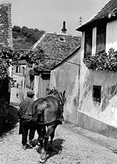 Palatine: Palatinate wine village, 1935