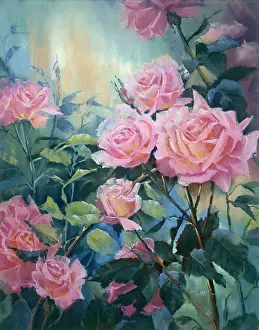 Caryl: Pale Pink Roses in a Garden