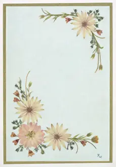 Pressed: Pale pink and white pressed flowers design