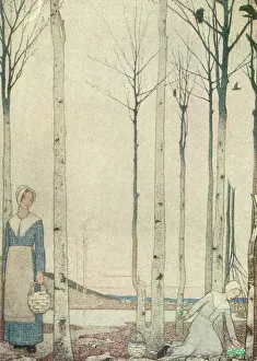 Quaker: Pale Windflowers