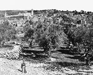 Hebron: Palestine Hebron pre-1900