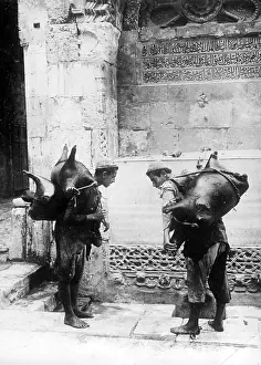 Palestinian: Palestinian boys