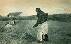 Chaff: A Palestinian Man sorting his wheat from his chaff