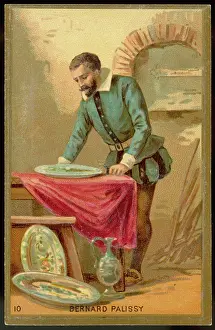 Palissy: PALISSY/TRADE CARD