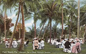 Poinciana: Palm Beach, Florida - Afternoon Tea