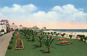 Manicured: Palm Beach Park. Long Beach
