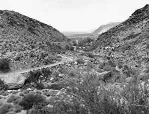 Caliente: PALM CANYON