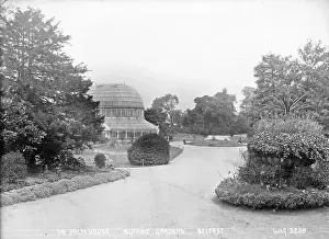 Botanic: The Palm House, Botanic Gardens, Belfast