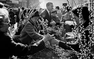 Palm Sunday in Vienna. The people stocking up on
