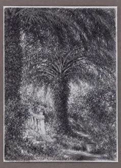 Crayon: The palm tree