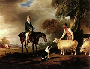 Portrayed: Palmer Portrait