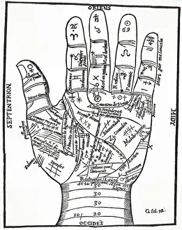 Perceived: PALMISTRY - BELOT