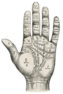 Joints: Palmistry map of the hand