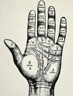 Predict: Palmistry. Planetary and zodiacal diagram of the