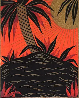 Cycad: Palmtree