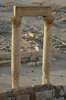 Tamar: Palmyra
