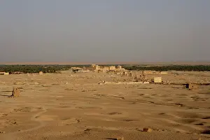 Tamar: Palmyra
