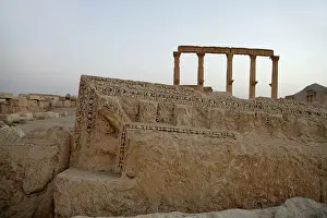Tamar: Palmyra