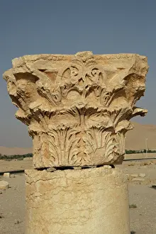 Tamar: Palmyra