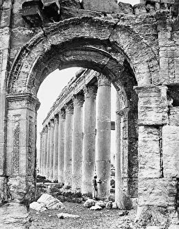 Palmyra: Palmyra, Syria