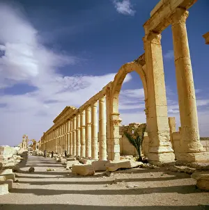 Hubertus Kanus: Palmyra, Syria - The Colonnade