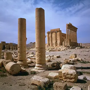 Hubertus Kanus: Palmyra, Syria - Columns and Temple of Bel (Baal)