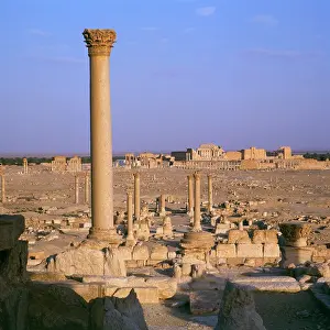 Kanus: Palmyra, Syria - Coumn and view toward Temple of Bel