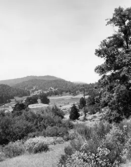 Palomar: PALOMAR STATE PARK