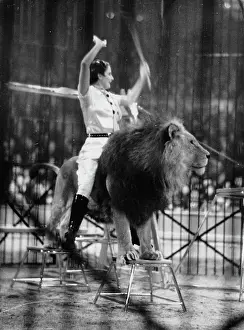 Dezember: Pamela Bourne is the youngest lion