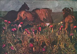 Wilds: Pan And The Horses