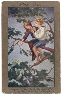 Treetop: Pan and Wendy Sit - Postcard