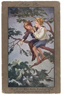 Treetop: Pan and Wendy Sit - Postcard
