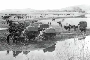 Underwood: Pancho Villa Expedition, Army Wagon Pack Train, 1916